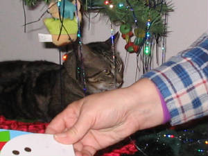 christmaswithbrittany047.jpg