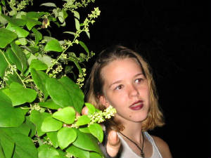 picture007.jpg